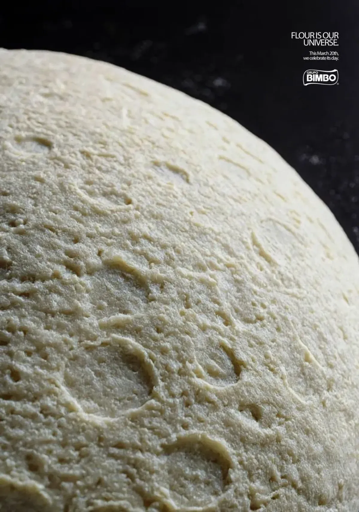 Bimbo — Flour Is Our Universe