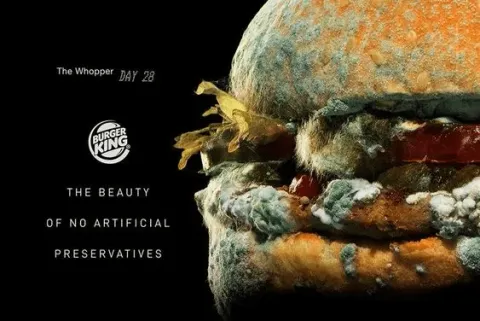 Burger King — Mouldy Whopper