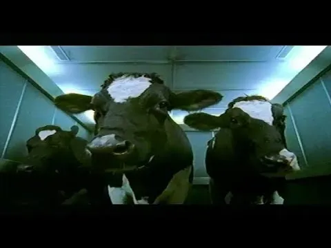 Cravendale — The cows want it back