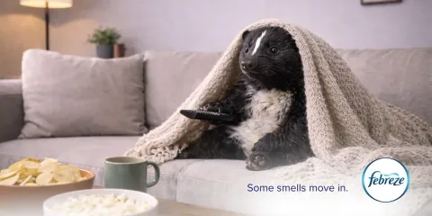 Febreze — Some Smells Move In