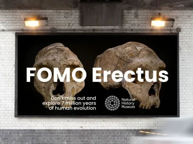 Natural History Museum — FOMO Erectus