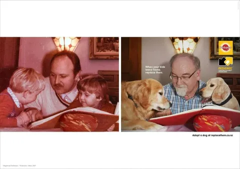 Pedigree — Child Replacement Programme