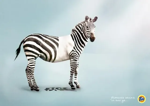 Tide — Removes Stains in One Go (zebra)