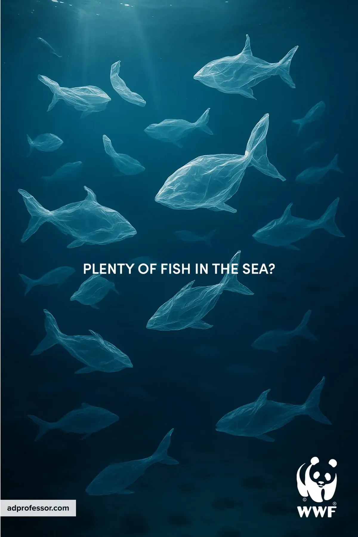 WWF — Plenty of fish in the sea?